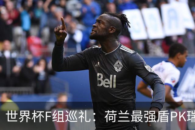 世界杯F组巡礼：荷兰最强盾PK瑞典犀利刀 日本短板明显